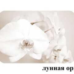 БОСТОН - 2 опоры Брифинг в Тюмени - tumen.mebel24.online | фото 25