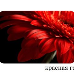 БОСТОН - 2 опоры Триумф в Тюмени - tumen.mebel24.online | фото 50
