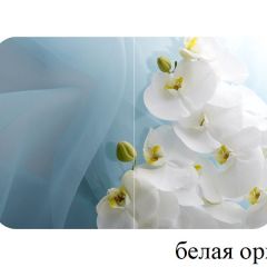 БОСТОН - 2 опоры Триумф в Тюмени - tumen.mebel24.online | фото 52