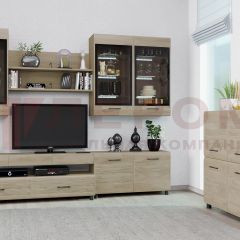 Гостиная Камелия Композиция 8 (Гикори Джексон светлый) в Тюмени - tumen.mebel24.online | фото 3
