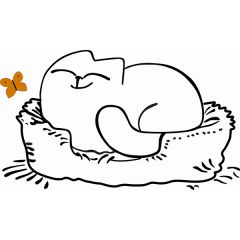 Кровать двухуровневая Кот № 900.1 ЛЕВАЯ (туя светлая/белый) в Тюмени - tumen.mebel24.online | фото 2