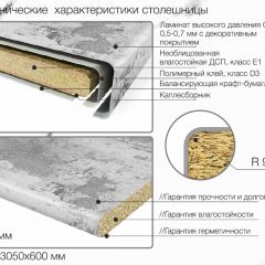 Кухонный фартук со столешницей (А-01) в едином стиле (3050 мм) в Тюмени - tumen.mebel24.online | фото 6