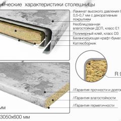 Кухонный фартук со столешницей (А-010) в едином стиле (3050 мм) в Тюмени - tumen.mebel24.online | фото 7