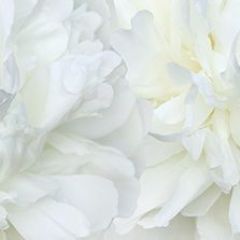 Кухонный фартук Цветы 325 МДФ матовый (3000) Flowers в Тюмени - tumen.mebel24.online | фото