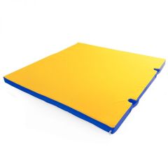 Мат гимнастический 1х1х0,05м с вырезом под стойки цв. синий-желтый в Тюмени - tumen.mebel24.online | фото 1