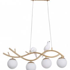 Подвесной светильник Arte Lamp Eltanin A3422SP-4GO в Тюмени - tumen.mebel24.online | фото 2