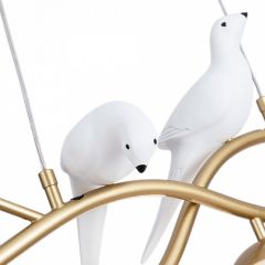 Подвесной светильник Arte Lamp Eltanin A3422SP-4GO в Тюмени - tumen.mebel24.online | фото 4