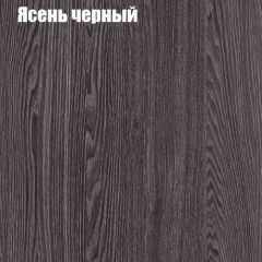 Прихожая ДИАНА-4 сек №3 (Ясень анкор/Дуб эльза) в Тюмени - tumen.mebel24.online | фото 3