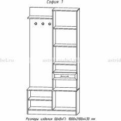 Прихожая София 1 в Тюмени - tumen.mebel24.online | фото 3