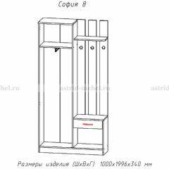 Прихожая София 8 в Тюмени - tumen.mebel24.online | фото 2