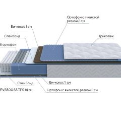 PROxSON Матрас Active Comfort M (Ткань Трикотаж Эко) 140x200 в Тюмени - tumen.mebel24.online | фото 6