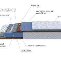 PROxSON Матрас Active Duo M/F (Ткань Трикотаж Эко) 120x190 в Тюмени - tumen.mebel24.online | фото 6