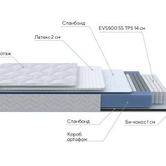 PROxSON Матрас Active Duo S/F (Ткань Трикотаж Эко) 120x190 в Тюмени - tumen.mebel24.online | фото 7