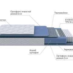 PROxSON Матрас Active M Roll (Ткань Трикотаж Эко) 120x190 в Тюмени - tumen.mebel24.online | фото 7