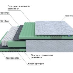 PROxSON Матрас Green Comfort M (Tricotage Dream) 180x195 в Тюмени - tumen.mebel24.online | фото 6