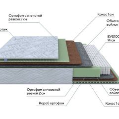 PROxSON Матрас Green M (Tricotage Dream) 120x220 в Тюмени - tumen.mebel24.online | фото 10