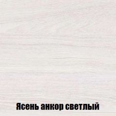 Шкаф 2-х створчатый МСП-1 (Ясень Анкор светлый) в Тюмени - tumen.mebel24.online | фото 4