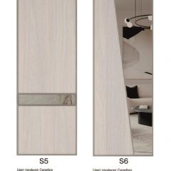 Шкаф-купе 1300 серии SILVER S3+S4+B2+PL4 (2 ящика+F обр.штанга) профиль «Серебро» в Тюмени - tumen.mebel24.online | фото 11