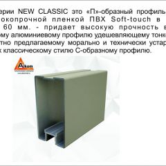 Шкаф-купе 1500 серии NEW CLASSIC K2+K2+B2+PL2(2 ящика+1 штанга+1 полка) профиль «Капучино» в Тюмени - tumen.mebel24.online | фото 17