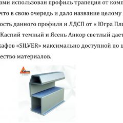 Шкаф-купе 1500 серии SILVER S3+S4+B2+PL4 (2 ящика+F обр.штанга) профиль «Серебро» в Тюмени - tumen.mebel24.online | фото 4