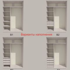 Шкаф-купе 1500 серии SILVER S3+S4+B2+PL4 (2 ящика+F обр.штанга) профиль «Серебро» в Тюмени - tumen.mebel24.online | фото 5