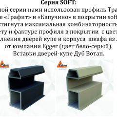 Шкаф-купе 1600 серии SOFT D8+D2+B2+PL4 (2 ящика+F обр.штанга) профиль «Графит» в Тюмени - tumen.mebel24.online | фото 12