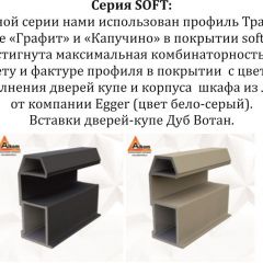 Шкаф-купе 2100 серии SOFT D4+D4+D4+B22+PL1 (по 2 ящика лев/прав+1штанга) профиль «Графит» в Тюмени - tumen.mebel24.online | фото 12