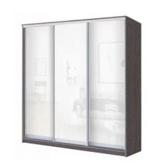 Шкаф-купе ХИТ 23-20/2-888 (620) в Тюмени - tumen.mebel24.online | фото 1