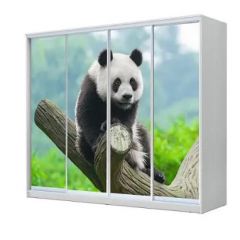 Шкаф-купе ХИТ 23-24/2-7777 (620) в Тюмени - tumen.mebel24.online | фото 1