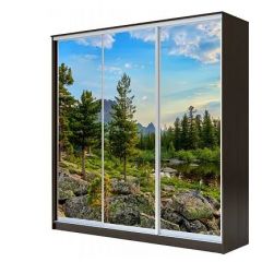 Шкаф-купе ХИТ 23-4-18-777 (420) в Тюмени - tumen.mebel24.online | фото 1