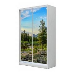 Шкаф-купе ХИТ 24-4-17-77 (420) в Тюмени - tumen.mebel24.online | фото
