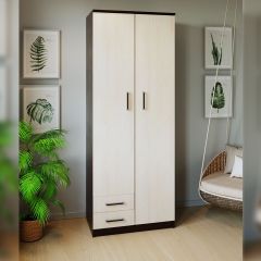 Шкаф распашной ПШ-3.9 в Тюмени - tumen.mebel24.online | фото 3