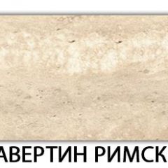 Стол обеденный Паук пластик Риголетто темный в Тюмени - tumen.mebel24.online | фото 37