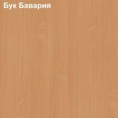 Стол-приставка Логика Л-2.07 (опора "Ронделла") в Тюмени - tumen.mebel24.online | фото 2