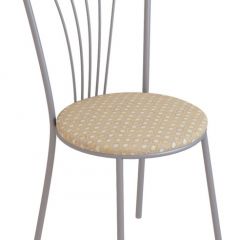Стул Сириус См19 Ткань в Тюмени - tumen.mebel24.online | фото