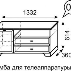 Тумба для телеаппаратуры Венеция 6 бодега в Тюмени - tumen.mebel24.online | фото 2