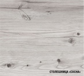 АСАЯ Кухонный гарнитур Экстра 2 (3000 мм) ПМ в Тюмени - tumen.mebel24.online | фото 8