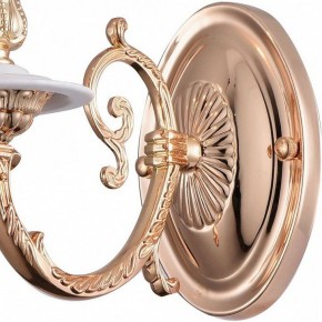 Бра Arte Lamp 8020 A8020AP-1WG в Тюмени - tumen.mebel24.online | фото 4