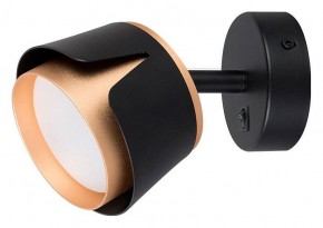 Бра Arte Lamp Amaks A8028AP-1BK в Тюмени - tumen.mebel24.online | фото