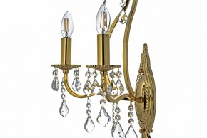 Бра Arti Lampadari Ercolano Ercolano E 2.1.2.602 G в Тюмени - tumen.mebel24.online | фото 6