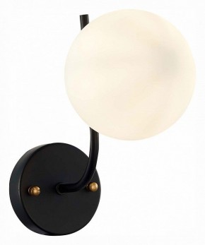 Бра EVOLUCE Ciane SLE1098-401-01 в Тюмени - tumen.mebel24.online | фото 2