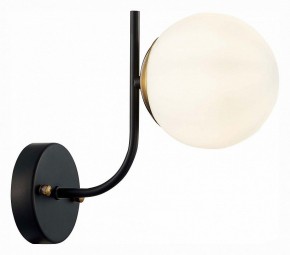 Бра EVOLUCE Ciane SLE1098-401-01 в Тюмени - tumen.mebel24.online | фото 3