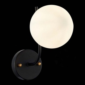 Бра EVOLUCE Ciane SLE1098-401-01 в Тюмени - tumen.mebel24.online | фото 4