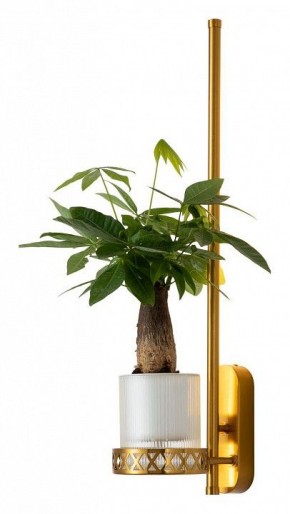 Бра Favourite Greenery 4050-1W в Тюмени - tumen.mebel24.online | фото 3