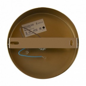 Бра Freya Zelda FR5124WL-01BS в Тюмени - tumen.mebel24.online | фото 6