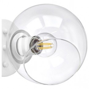 Бра Lightstar Beta 785616 в Тюмени - tumen.mebel24.online | фото 5