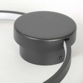 Бра Lussole Lowell LSP-7108 в Тюмени - tumen.mebel24.online | фото 3