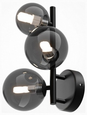 Бра Maytoni Dallas MOD545WL-03B в Тюмени - tumen.mebel24.online | фото 2