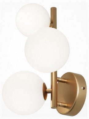 Бра Maytoni Dallas MOD545WL-03BS в Тюмени - tumen.mebel24.online | фото 2