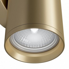 Бра Maytoni Focus S C068WL-02MG в Тюмени - tumen.mebel24.online | фото 4
